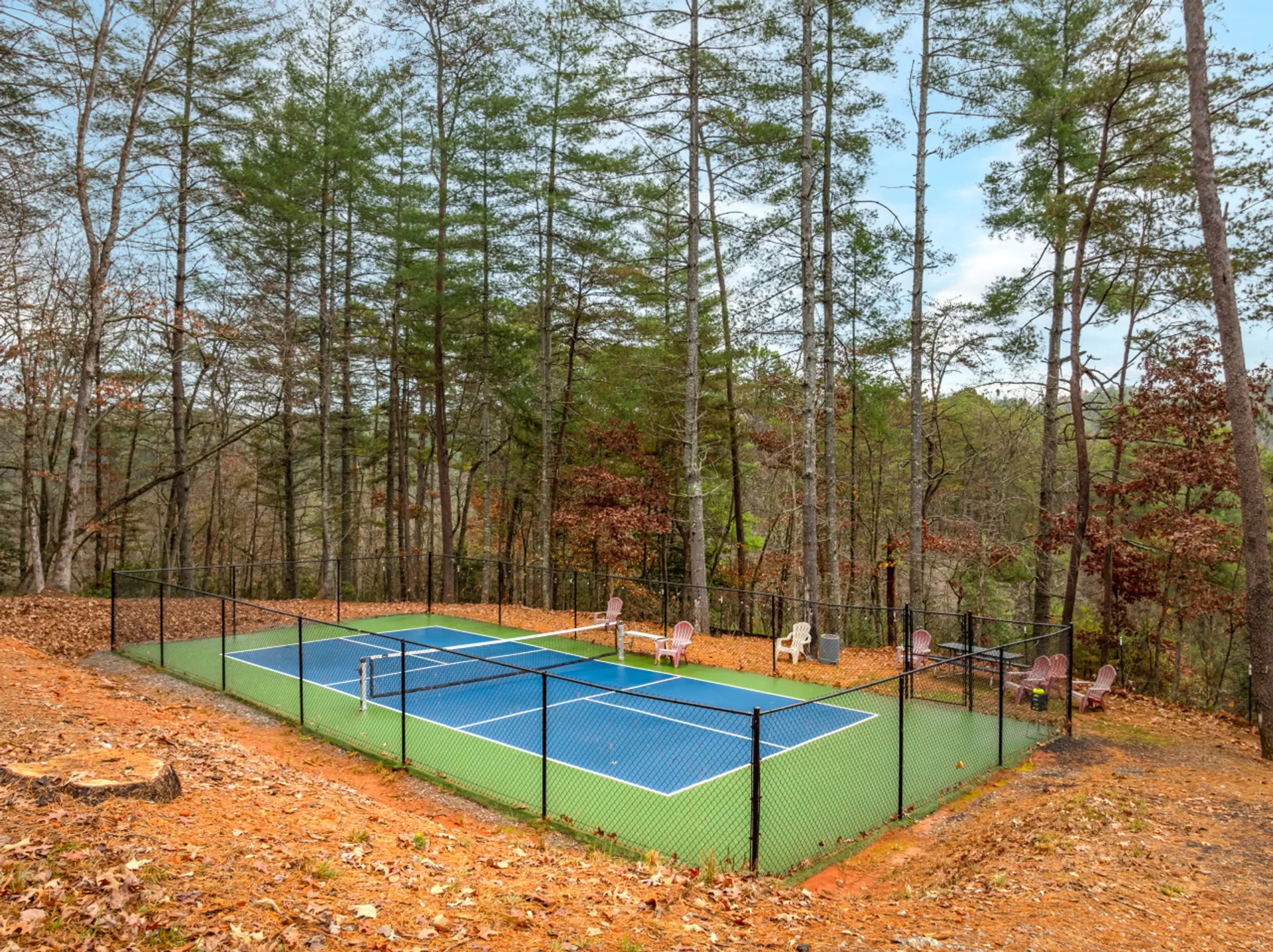 Pickleball Court